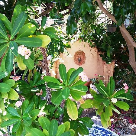 B&B Le Terrazze Capo d'Orlando Exterior photo