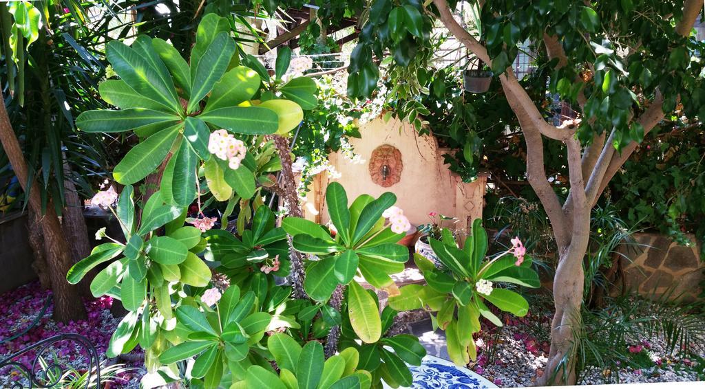 B&B Le Terrazze Capo d'Orlando Exterior photo